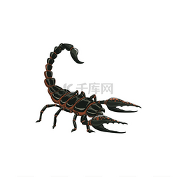 蝎子图标害虫防治消灭和除虫媒介