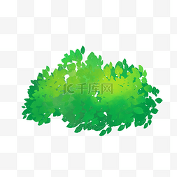 绿化图片_绿色灌木丛