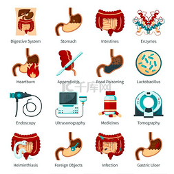 消化系统平面图标集。