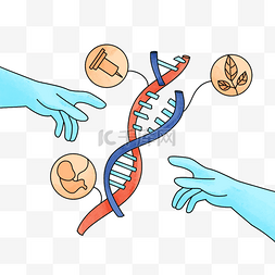 dna双螺旋你图片_基因在遗传中的重要性