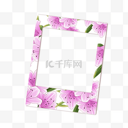 美丽花朵相框图片_花卉植物宝丽来温馨相框