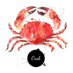 烹饪涂鸦图片_水彩手绘螃蟹白色背景上的孤立新