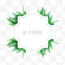 简单色海报图片_花型水彩植物芦荟边框