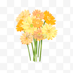 花朵橙色图片_黄色橙色非洲菊花束剪贴画