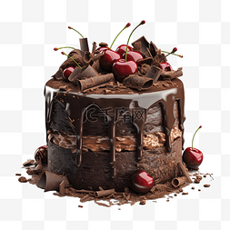 蛋糕图片_巧克力水果奶油生日蛋糕