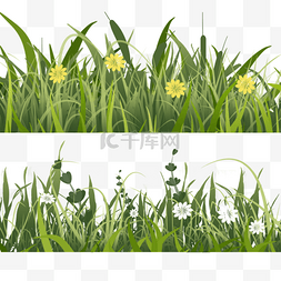草地写实图片_白色花朵春季复活节绿色草地