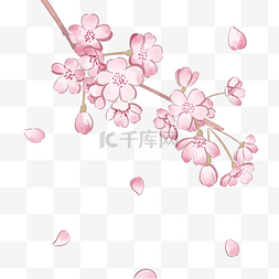 粉色简单春季樱花