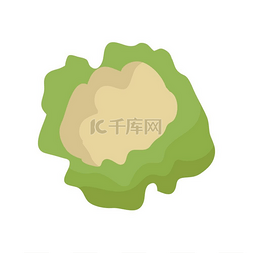 平面分类图片_平面风格设计中的花椰菜矢量概念