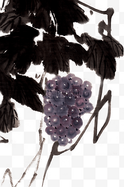 紫色的葡萄图片图片_紫色的葡萄