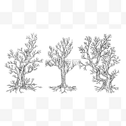 Set of hand drawn trees