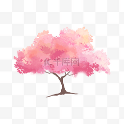 粉色樱花树水彩花朵