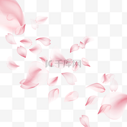 樱花边框图片_质感粉色浪漫光效樱花边框