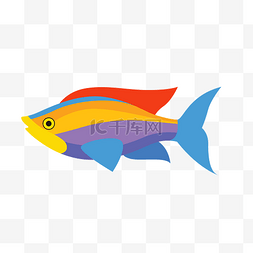 矢量鱼海洋生物鱼