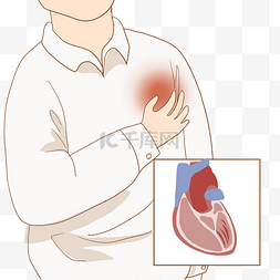 人体组织器官心脏病变医学科普