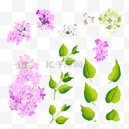 复古风格紫色白色丁香花卉