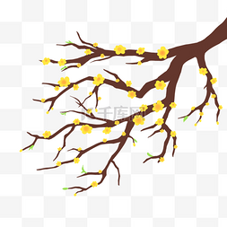 春天黄色海报图片_越南新年黄杏花枝条春天发芽树枝