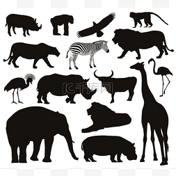 非洲野生动物图片_动物剪影