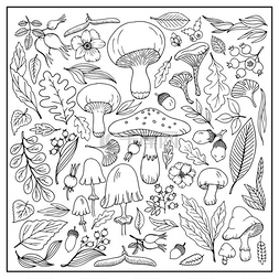 野生菌餐普图片_蘑菇，浆果，花，树枝都是手绘的