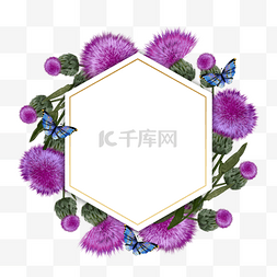 自由插画图片_蓟花卉蝴蝶紫色水彩边框