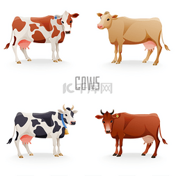 奶牛手绘图片_不同的奶牛