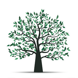 木插图图片_白色背景上有叶子的树的矢量插图