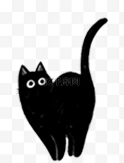 黑色猫咪