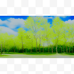 蓝天树林图片_春天的绿树林