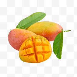 芒果水果果实饮食