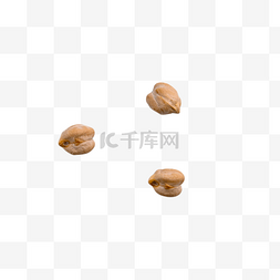 鹰嘴豆营养颜色棕色
