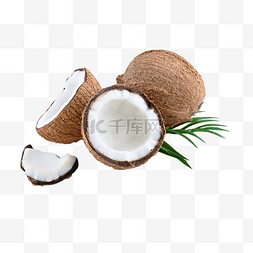 椰子树木素材图片_椰子食品自然椰汁