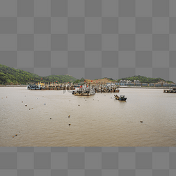 台风图片_避风港渔船轮船