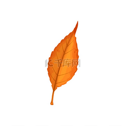 秋叶矢量图标卡通树叶橙色的落叶