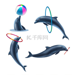 海豚马戏团的现实主义偶像设定了