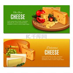 现实的奶酪与香料和蔬菜在绿色和