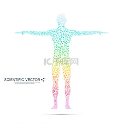 螳螂结构图片_结构分子的人。抽象模型人体 Dna