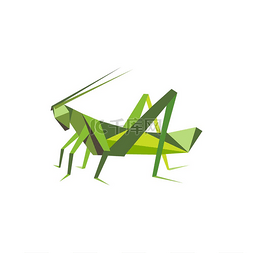 创意手工标志图片_绿色草蜢分离的折纸昆虫矢量蝗虫