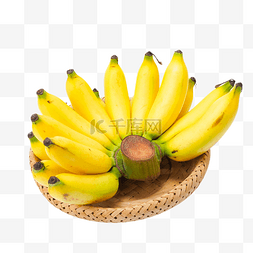 龙山小米图片_新鲜水果香蕉小米焦