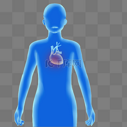 身体器官图片_科技风人体心脏