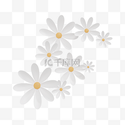 C4D3D立体菊花花朵花瓣