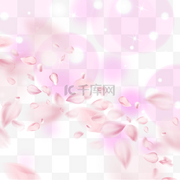 樱花花瓣图片_紫粉色光效光斑樱花花瓣