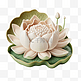 3D立体黏土质感花朵白色莲花