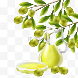 橄榄油橄榄树叶绿色