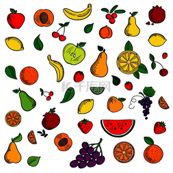 甜美的水果和浆果在薄荷叶中勾勒