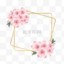 樱花花瓣插画图片_樱花水彩正方形金线边框