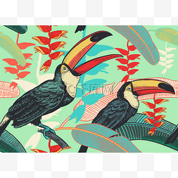 鸟儿巨嘴鸟在热带树叶和花朵的背