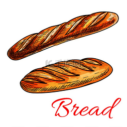 小麦面包草图，配有新鲜香脆的法