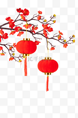 灯笼图片_新年梅花灯笼挂饰