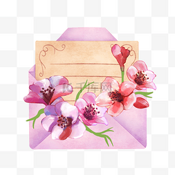 信封水彩花卉植物紫色信笺