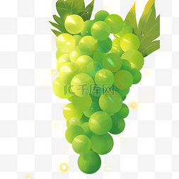 水果图片_绿色水晶葡萄