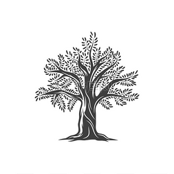 橄榄树图标，橄榄和树枝上的叶子
